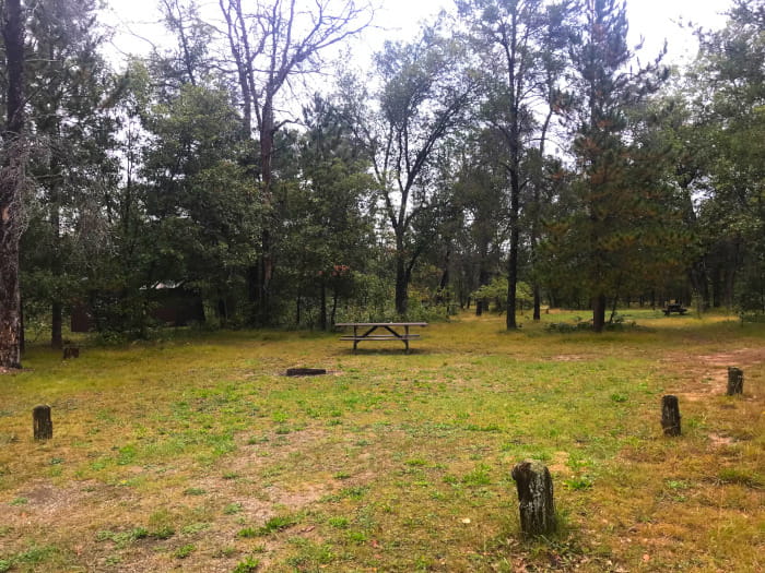ManisteeRiverBridgeCampsite3