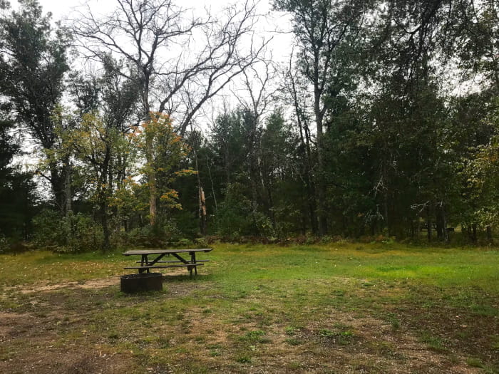 Manistee River Bridge Campsite