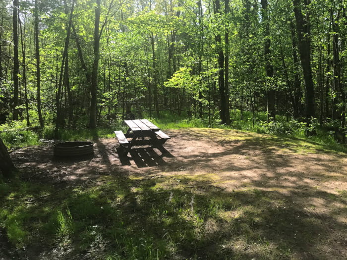 MapleBayCampsite