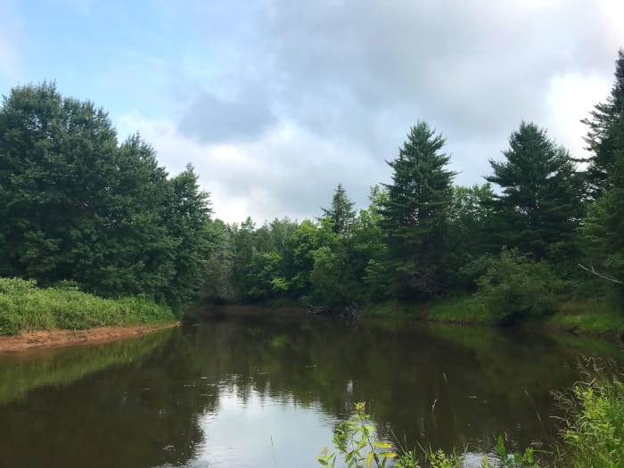 MeadCreekManistiqueRiver