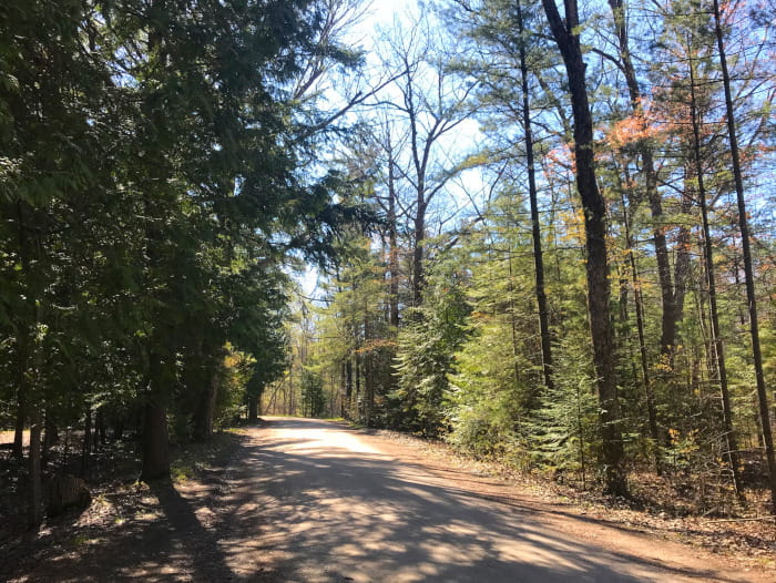 OssinekeCampgroundRoad