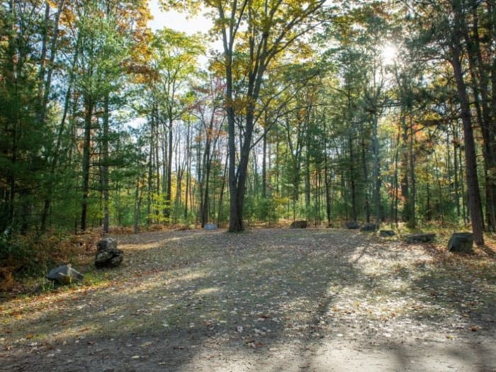 Pickerel Lake Otsego Campsite