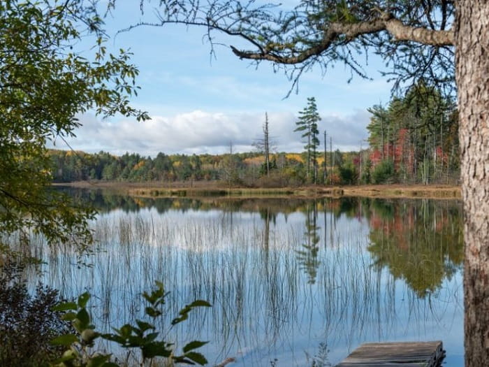Pickerel Lake Otsego Lake