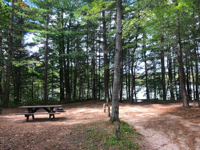 PickerelLakeCampsite1