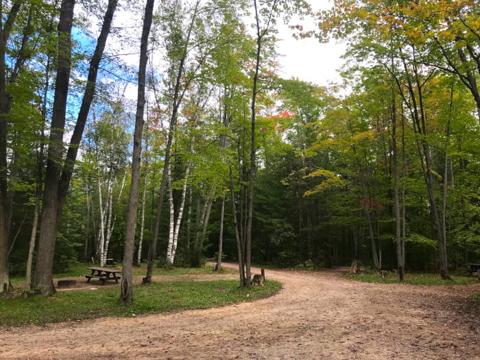 Pickerel Lake Campground