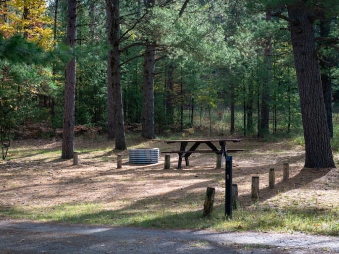 Pigeon Bridge campsite 1