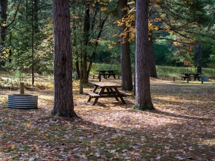 Pigeon Bridge campsite 2