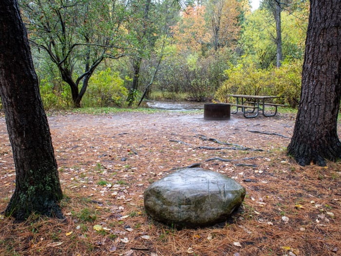 Pidgeon River River Campsite