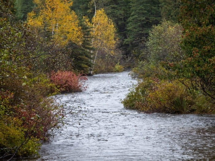 Pigeon River fall