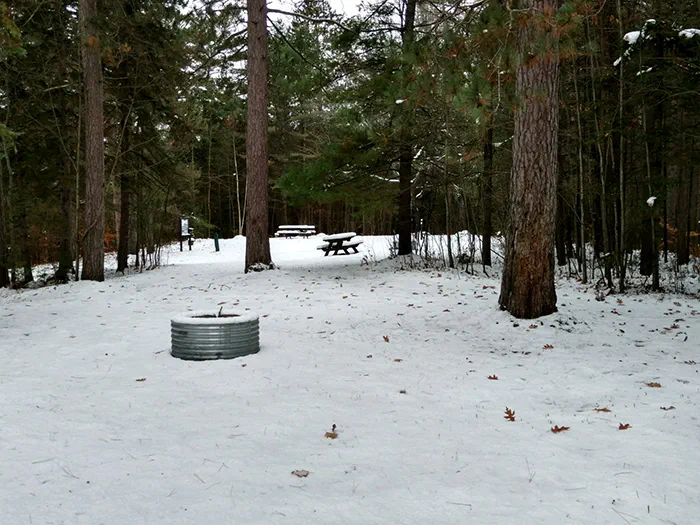 Pine Grove 1