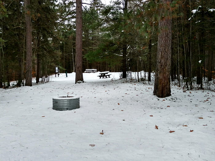 Pine Grove 1