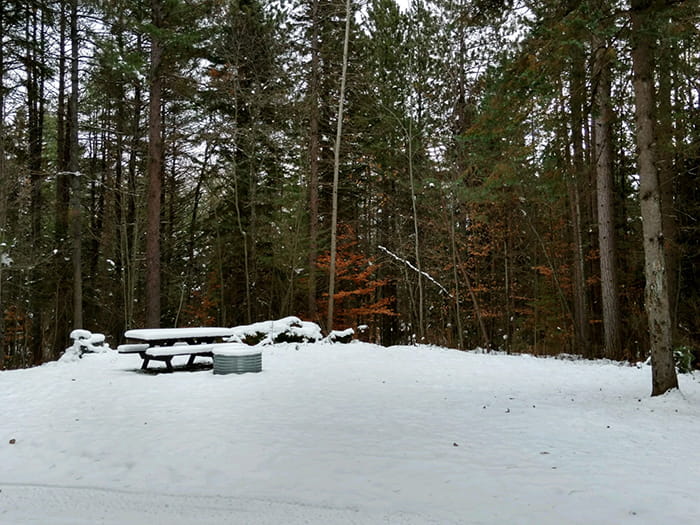 Pine Grove 2