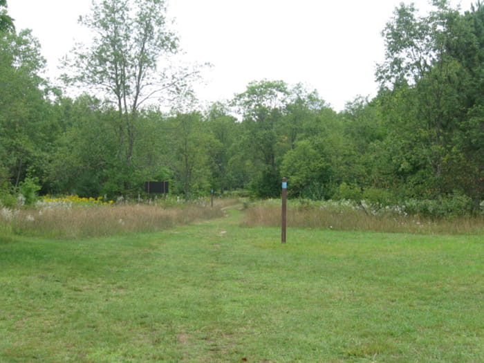 PinneyBridgeField