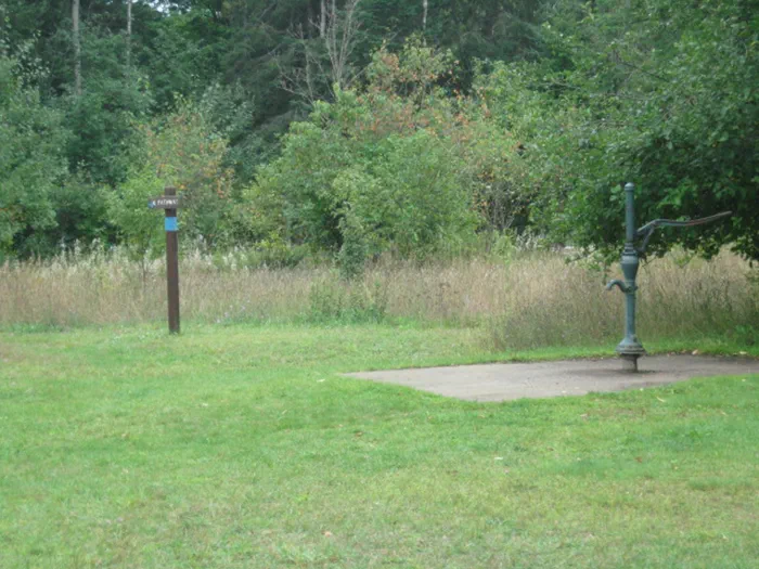 PinneyBridgePump