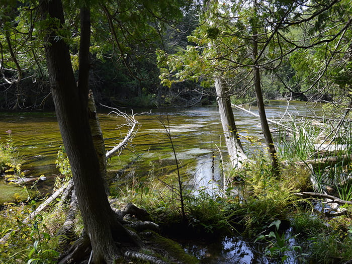 Platte River2