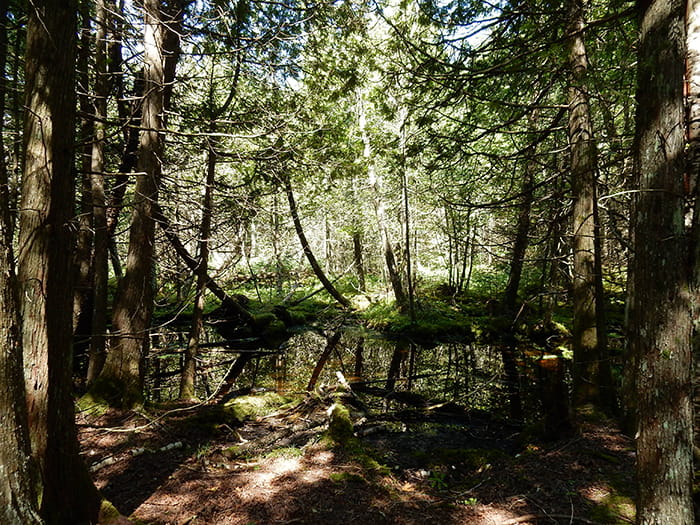 port bay woods