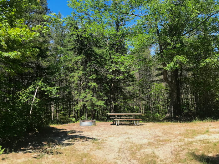 ReedGreenCampsite