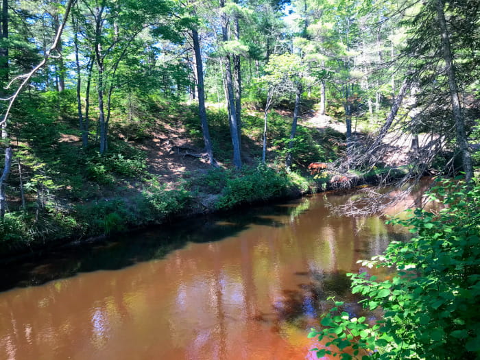 ReedGreenRiver