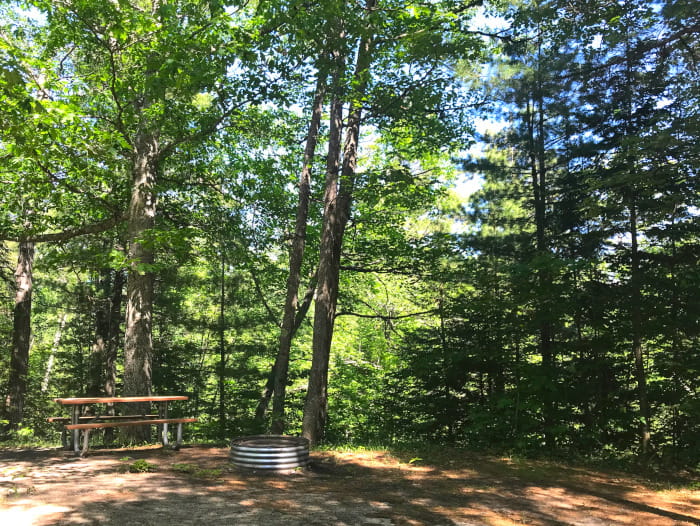 Reed Green Campsite