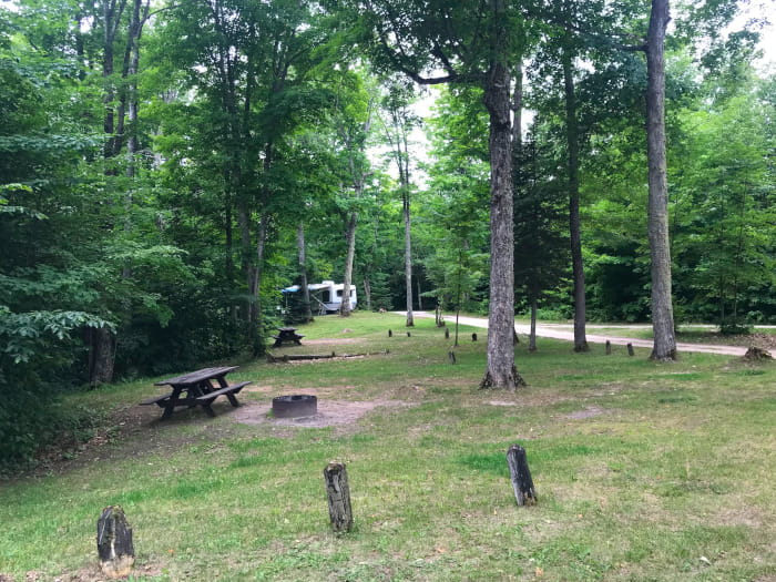 Ross Lake campground