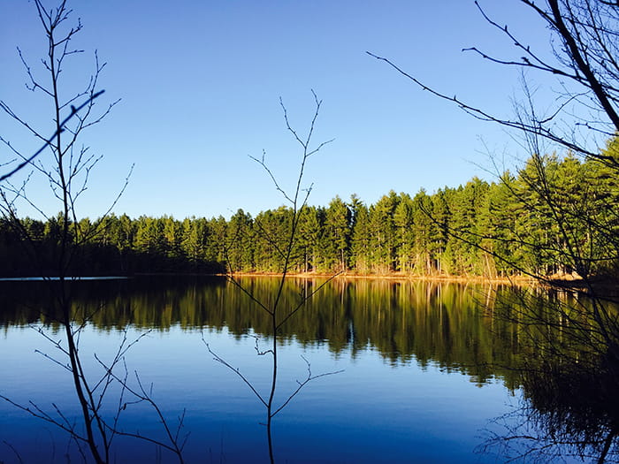Round Lake Lake Summer