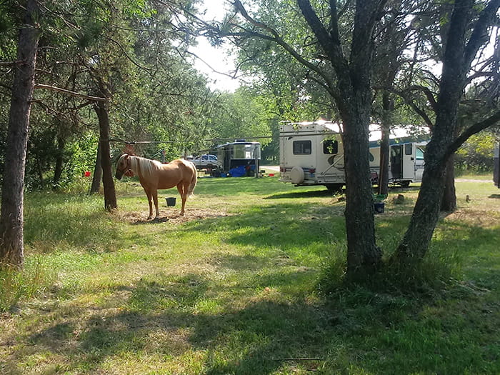 Schecks trail camp