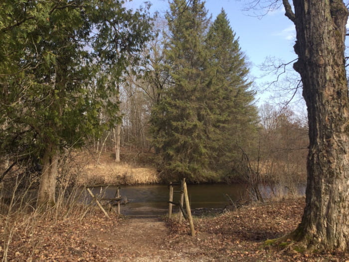 SilverCreekBAS