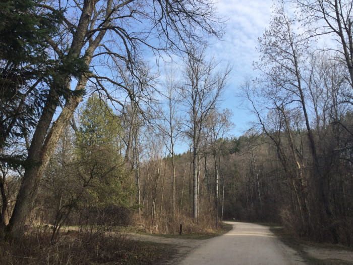 SilverCreekCampgroundRoad2
