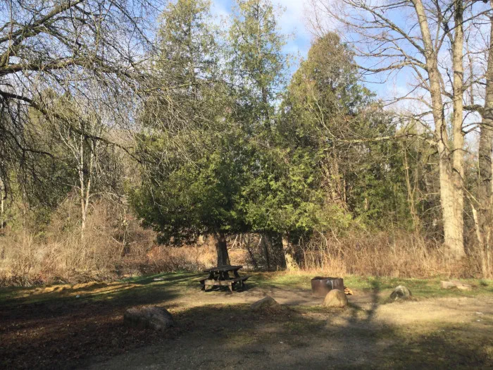 SilverCreekCampsite