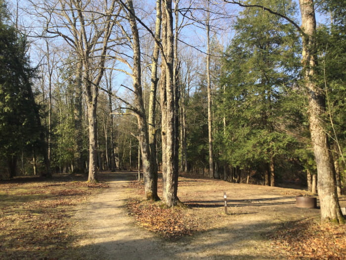SilverCreekWalkInSite