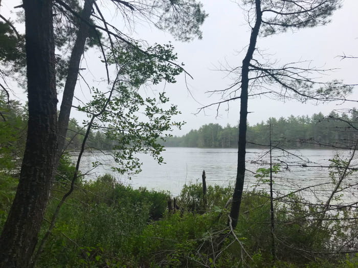 SouthGeminilakeview