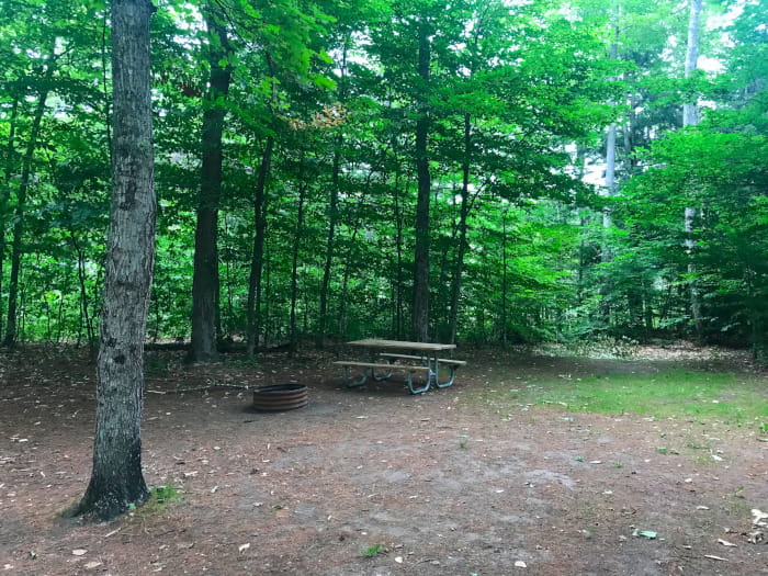 South Gemini Campsite