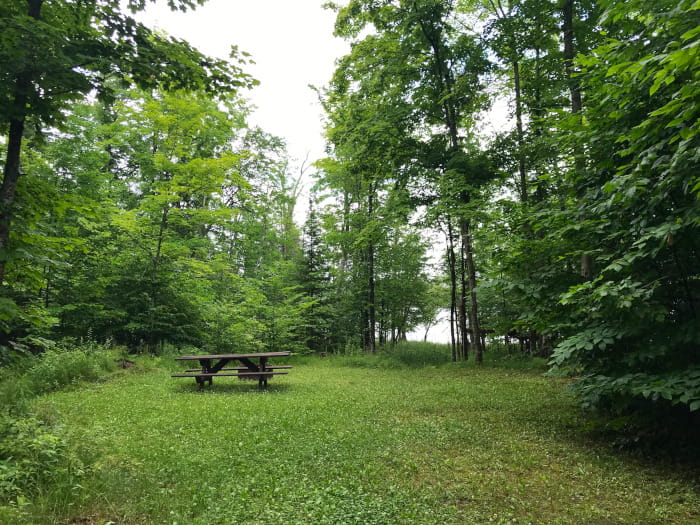 SouthManistiqueLakeCampsite