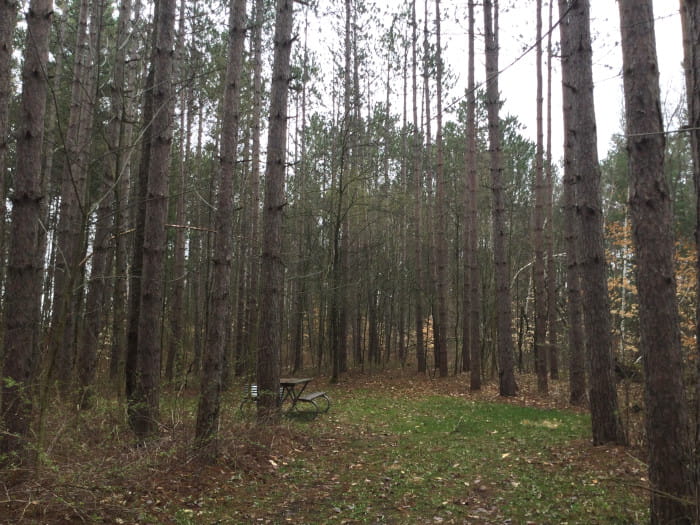 SunriseLakeCampsite5
