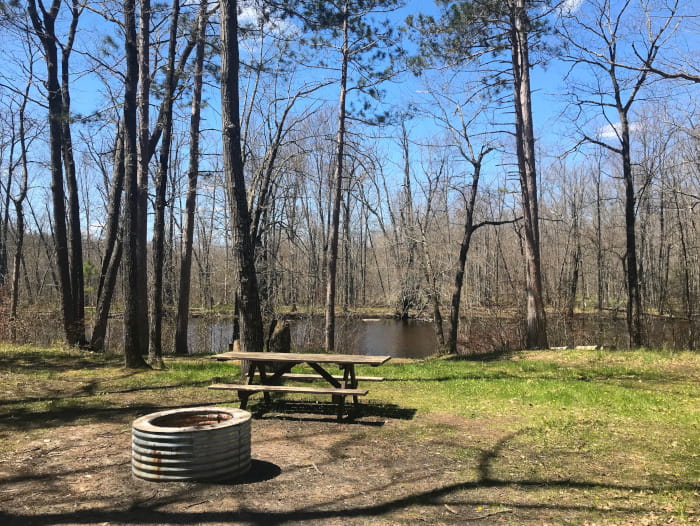 Thunde rBay Campsite View