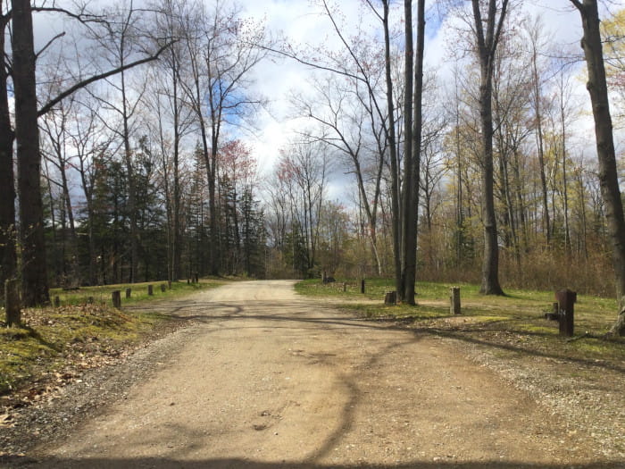 TroutLakeCampgroundRoad