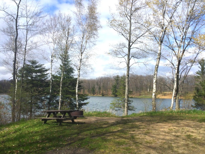 Trout Lake Campsite