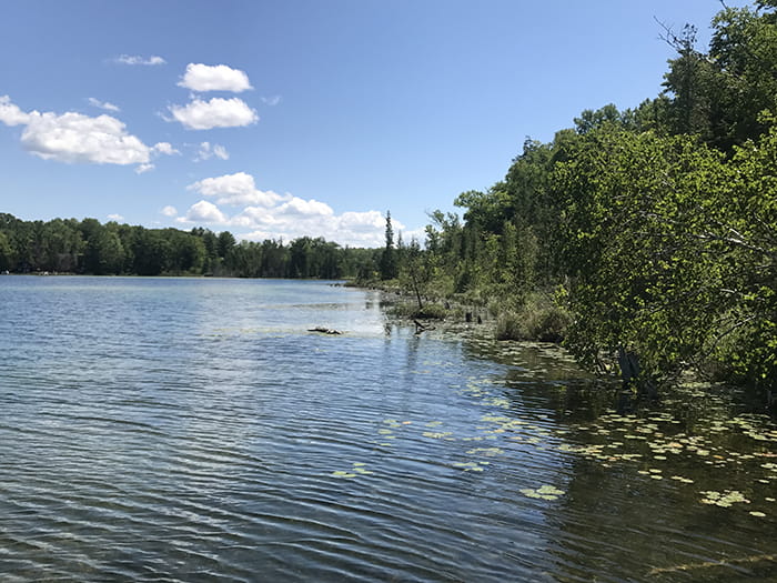 Twin Lakes SFC lake