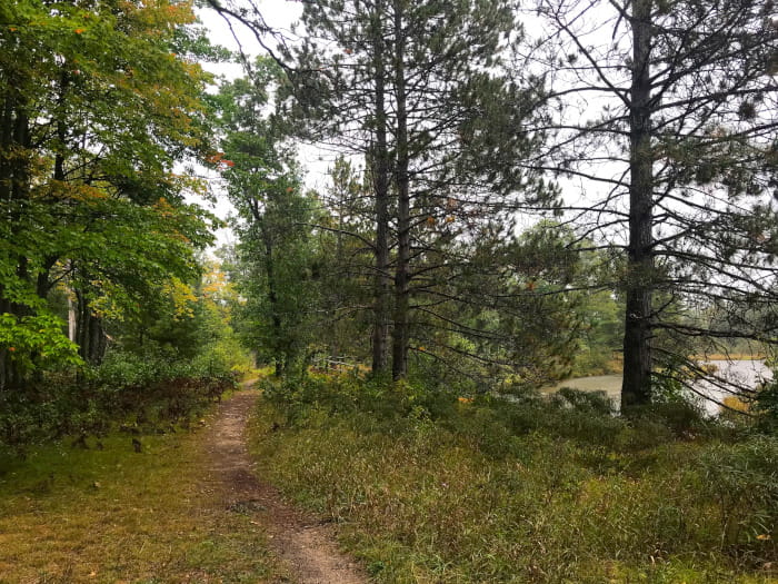 UpperManisteeFootpath