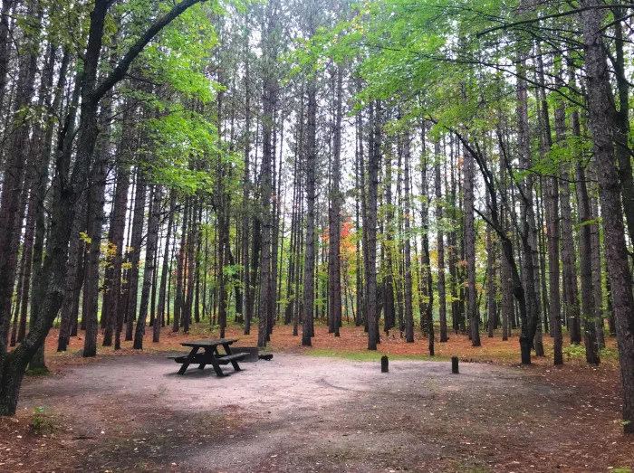 Upper Manistee Campsite