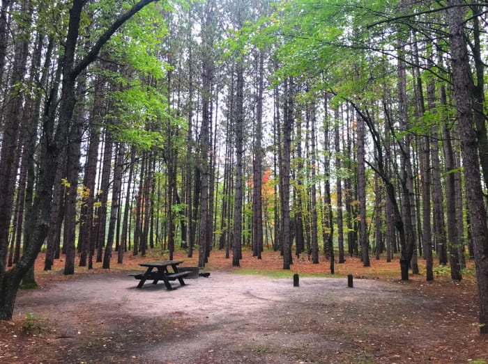 Upper Manistee Campsite