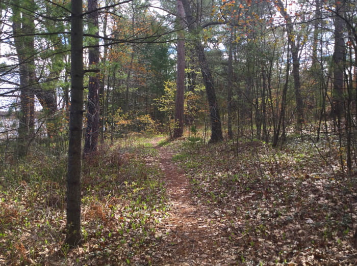 VanEttenfootpath