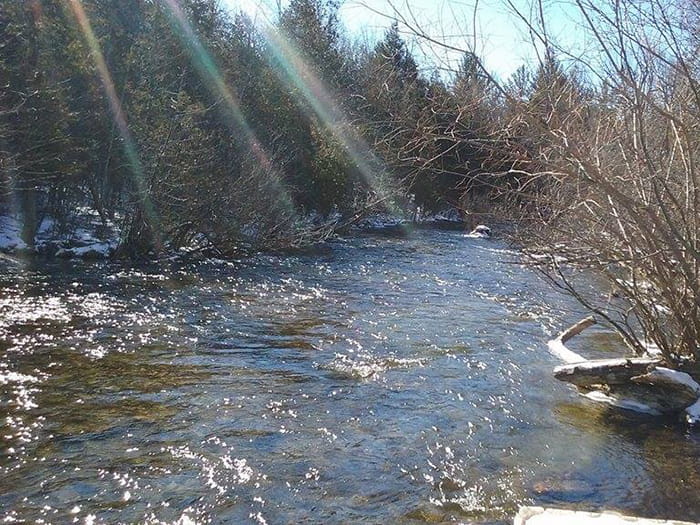 Vets memorial river