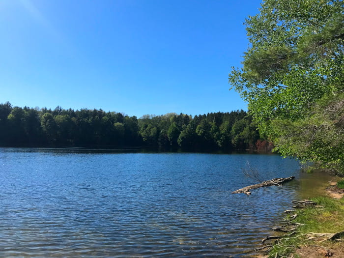 WeberLakeView