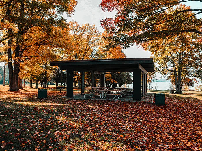 wooden picnic shelter with fall leaves