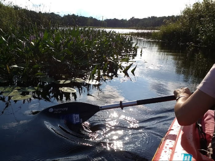 Bald Mountain paddling