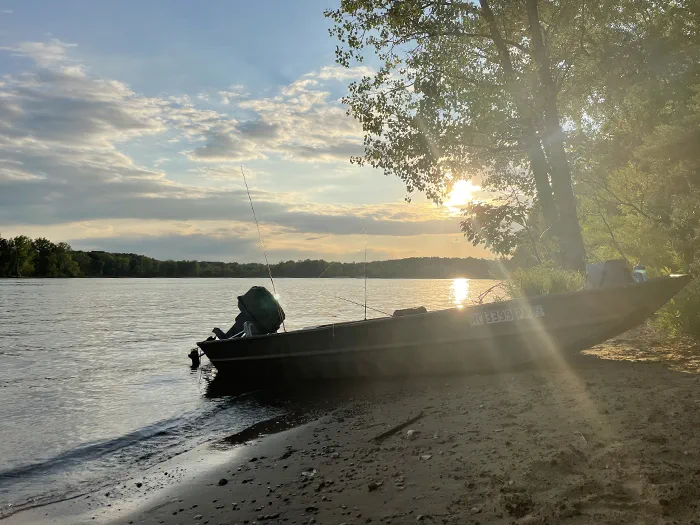 boat resting on shoreline
