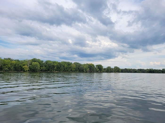 flat water with trees