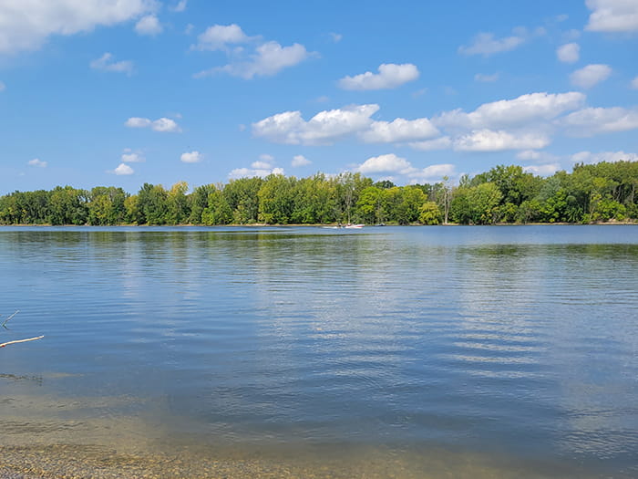 water with tree lined shoreline