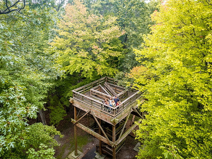 wooden viewing platform with stairs